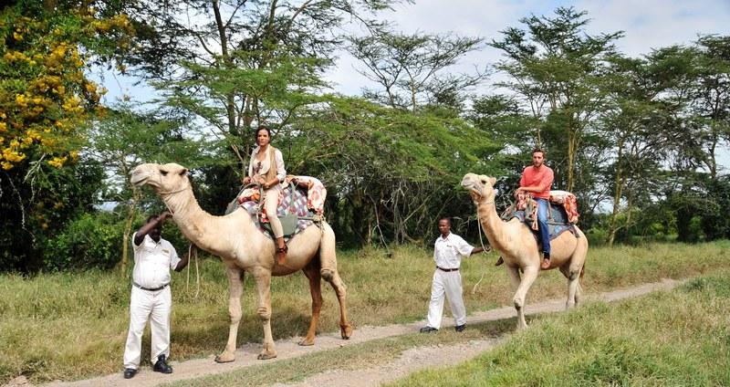 Sweetwaters Serena Camp Nanyuki Exterior photo