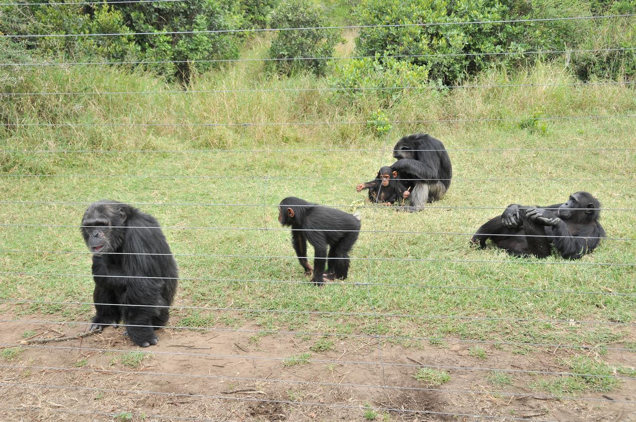 Sweetwaters Serena Camp Nanyuki Exterior photo