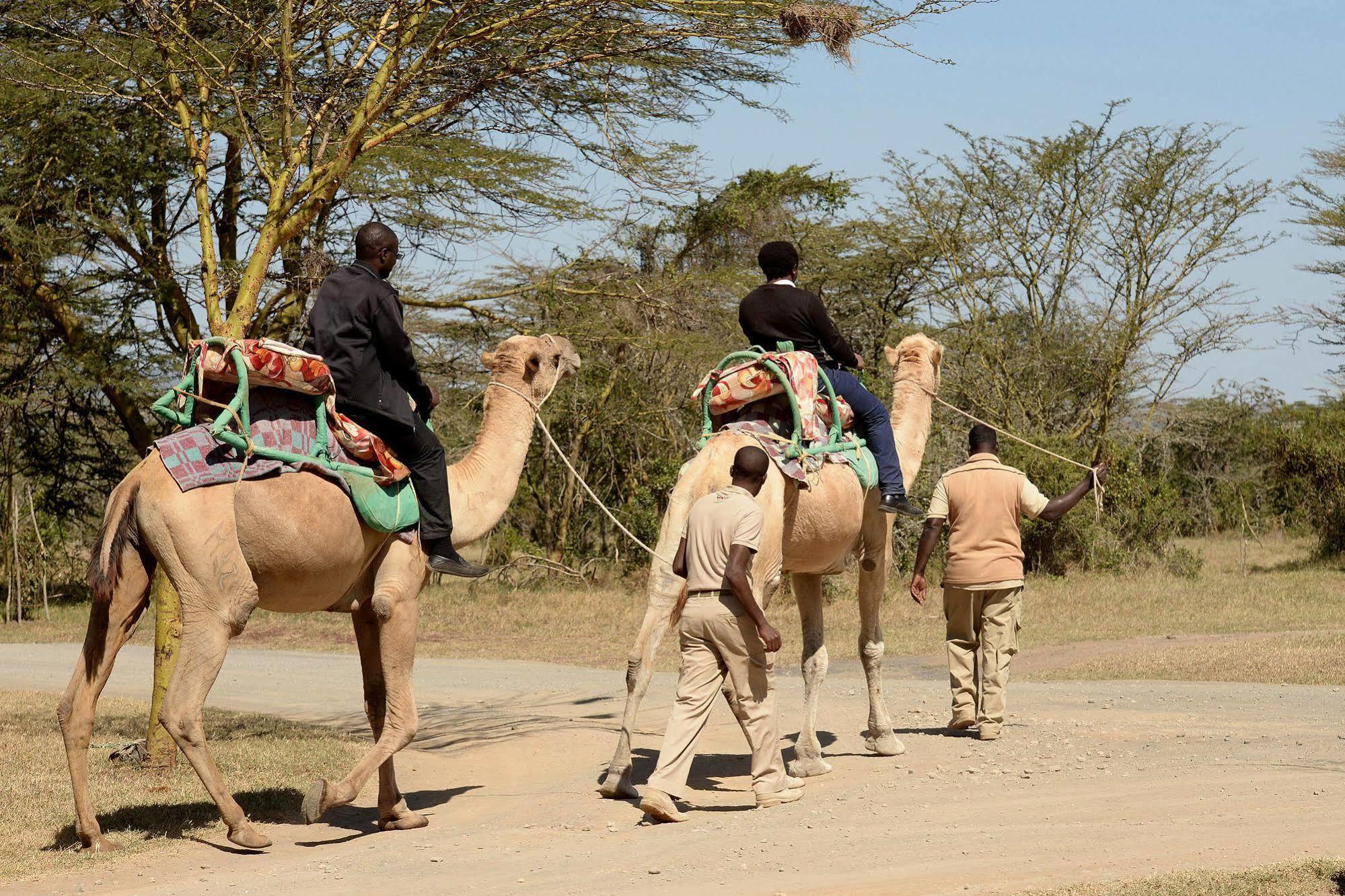 Sweetwaters Serena Camp Nanyuki Exterior photo