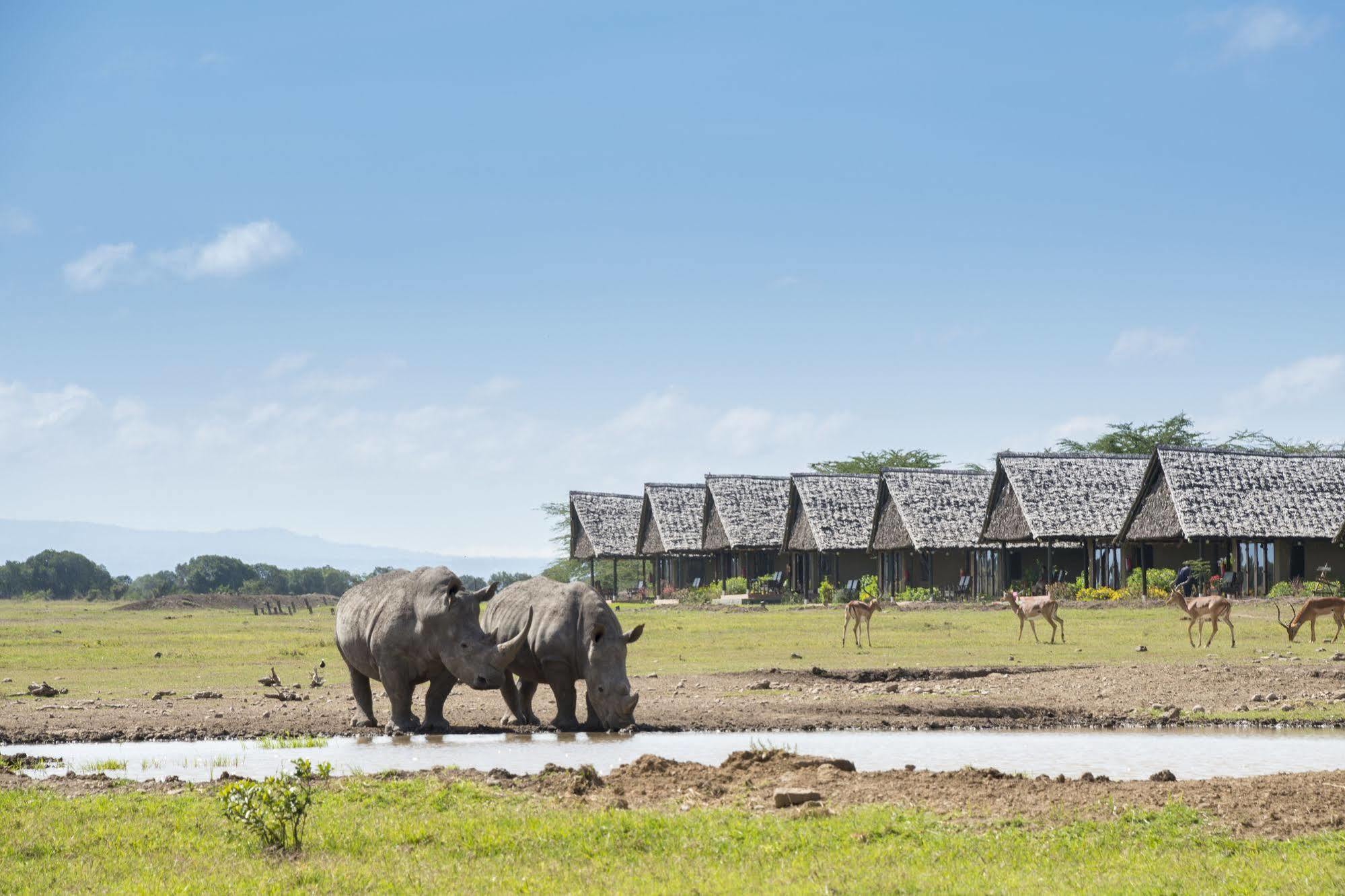 Sweetwaters Serena Camp Nanyuki Exterior photo